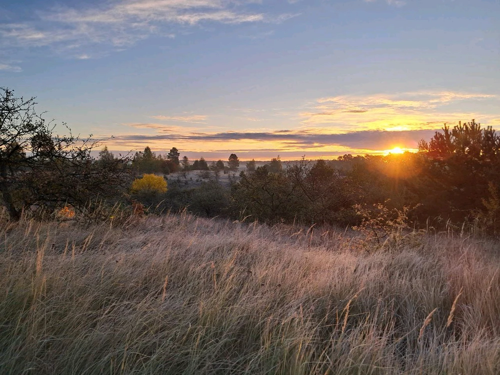 Image uploaded by Іван