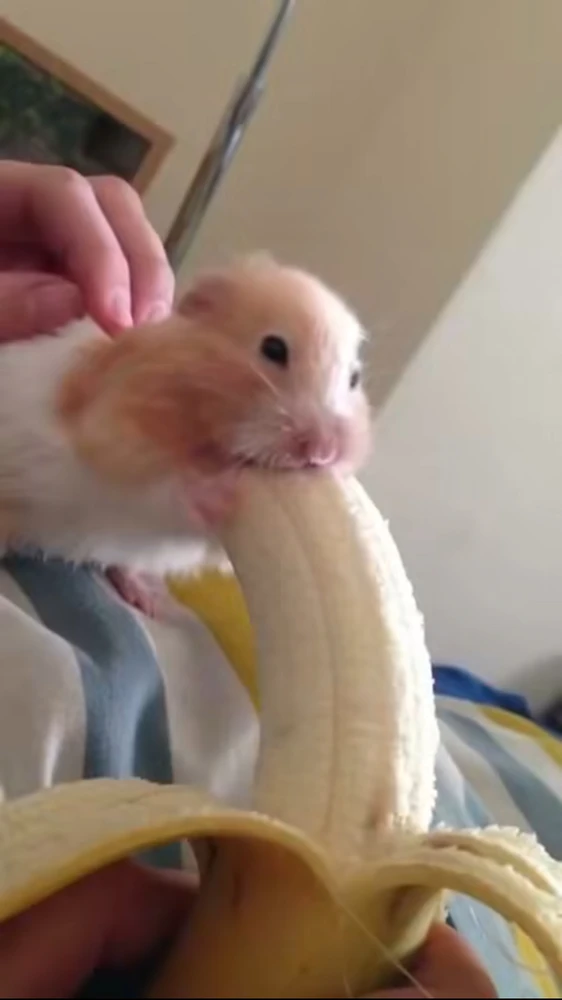 Emre tarafından yüklenen görsel