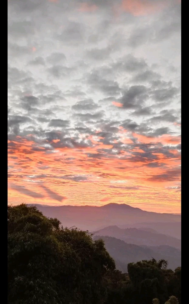 Image uploaded by Mau✨