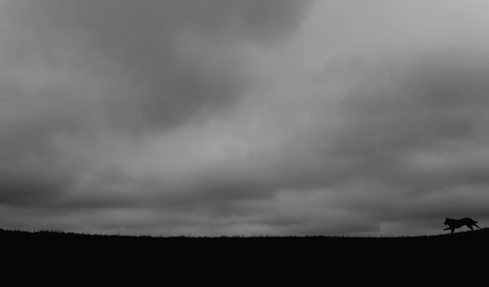 Obrázek nahrál Filip