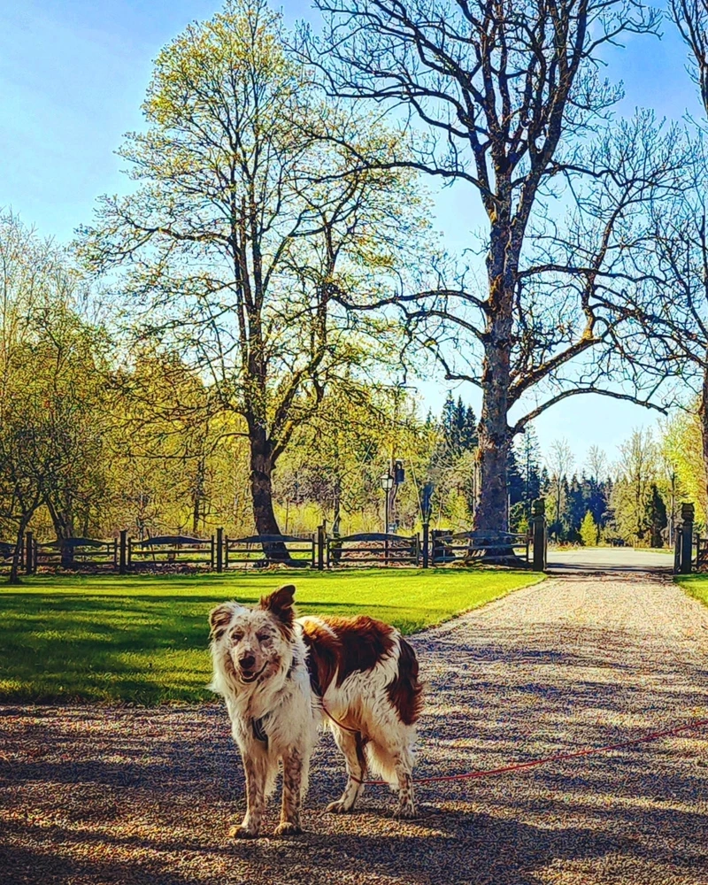 Bild uppladdad av Ella