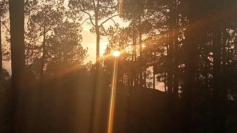 Image uploaded by Gypsy