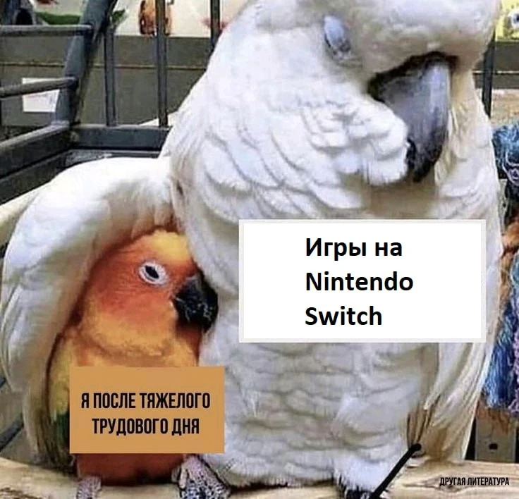 Фото загрузил ГОРЬКИЙ ХМЕЛЬ