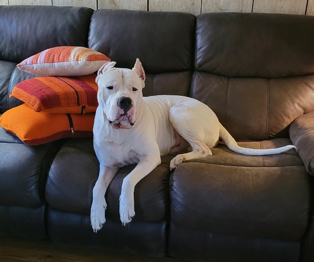 Image uploaded by Keith