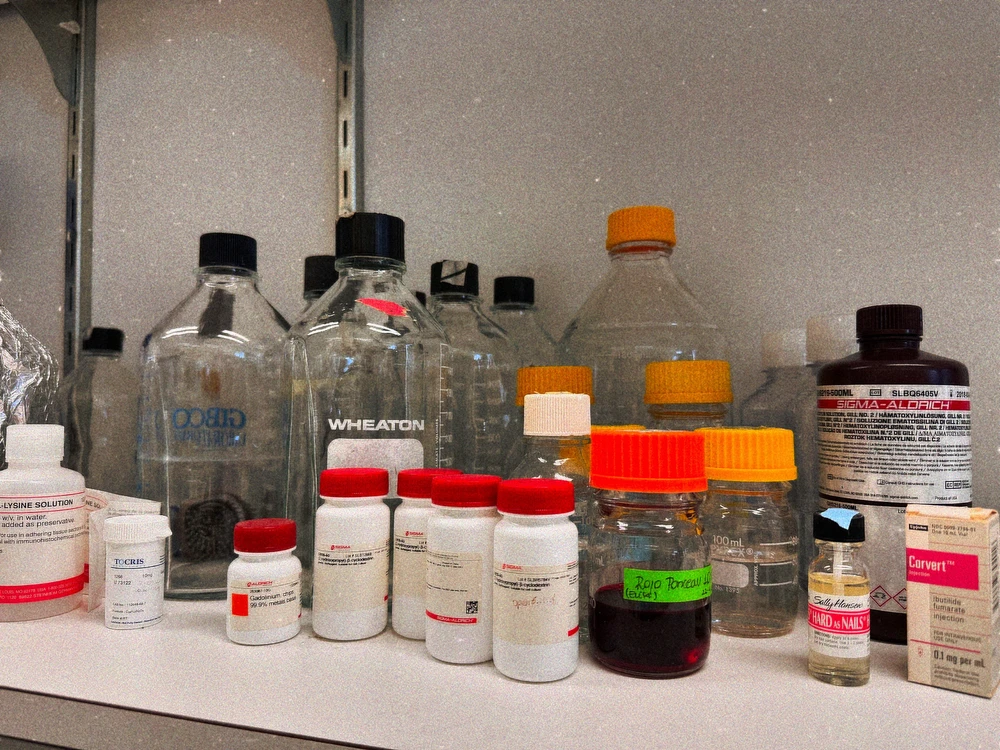 Image uploaded by Fran