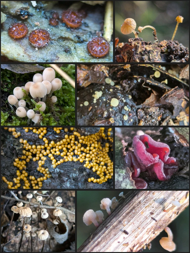 Bild hochgeladen von Agata J.