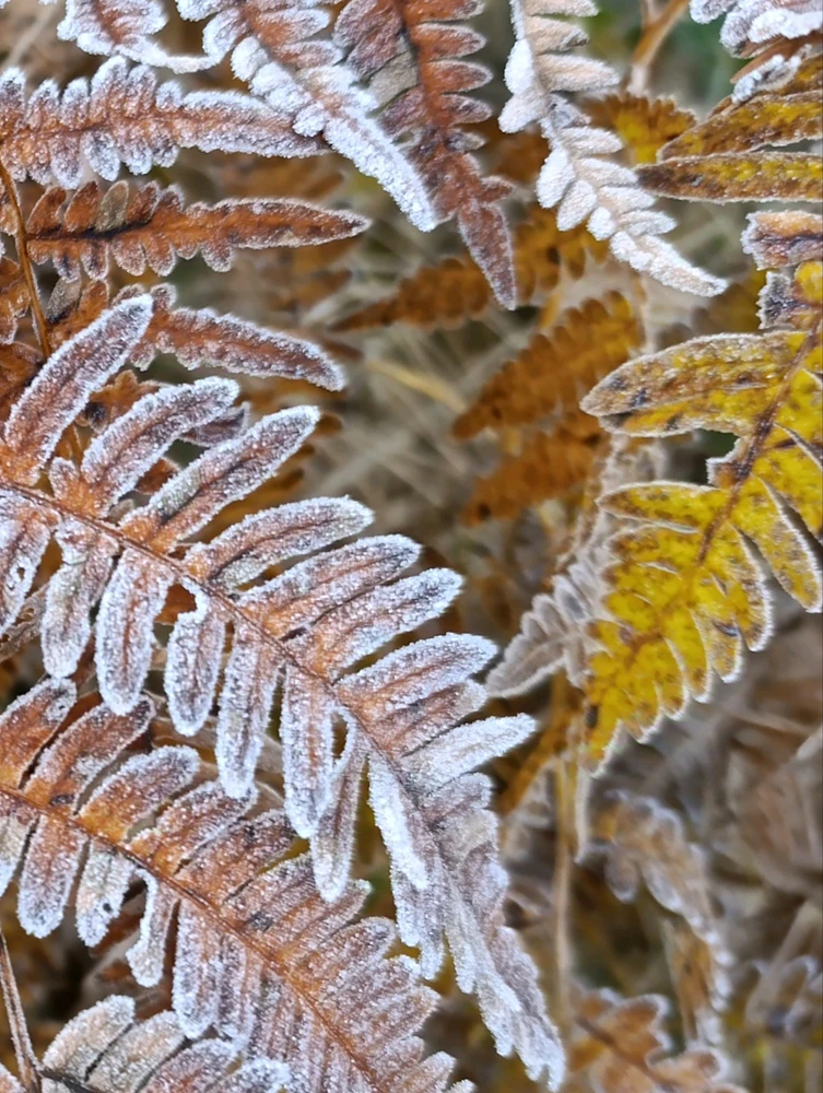 Image uploaded by Chris