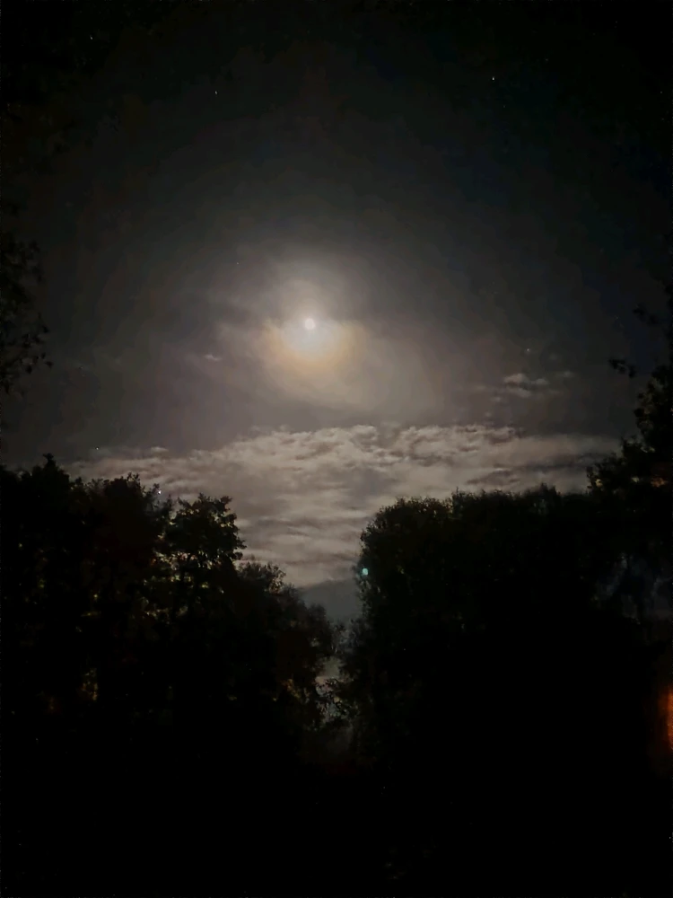 Yin님이 올린 사진