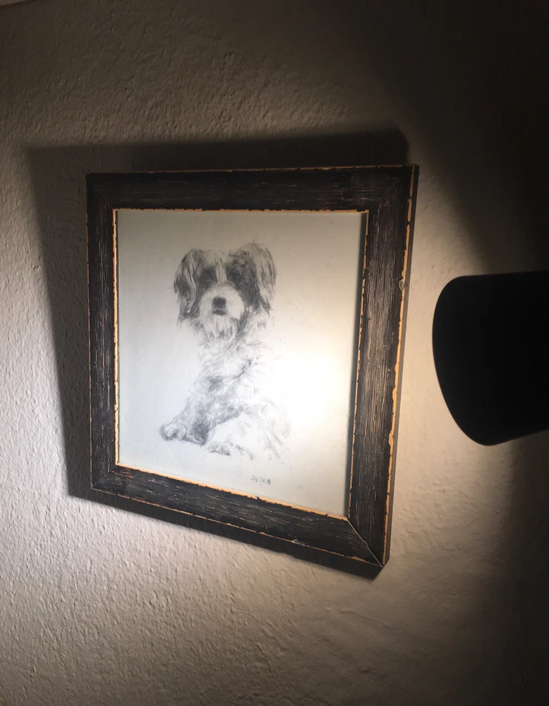 Tarık Serfice tarafından yüklenen görsel