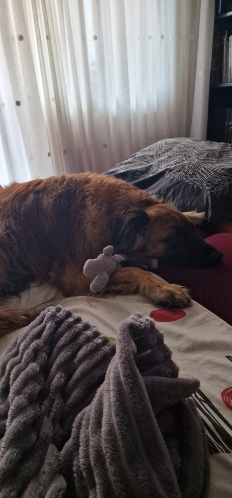 Zohartze님이 올린 사진