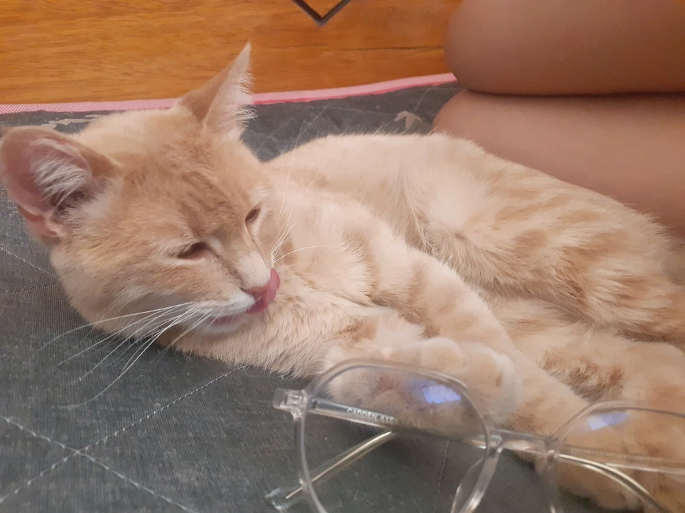 Imagen subida por Genesis Salcedo