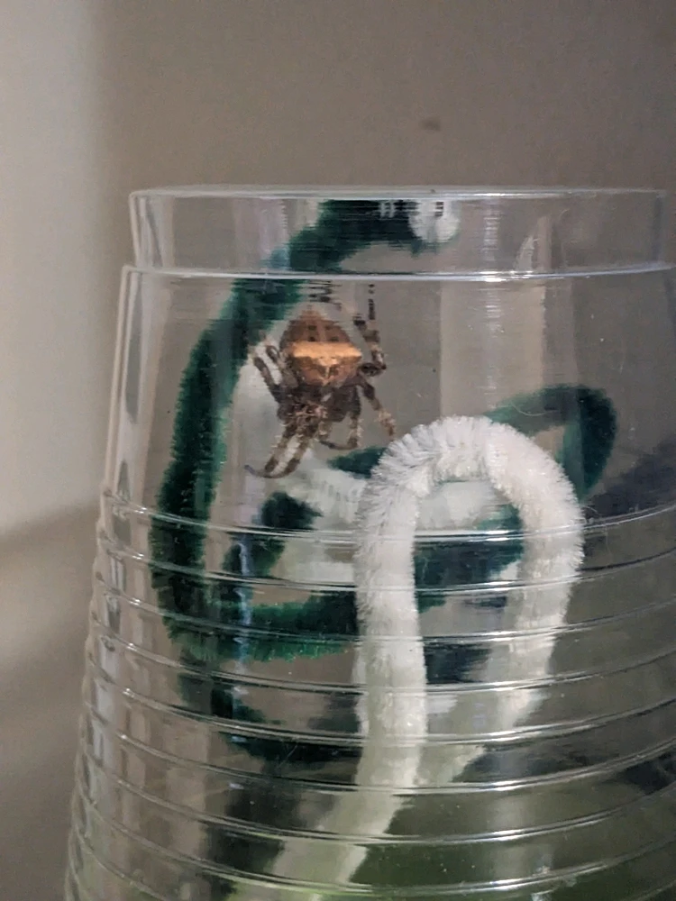 Image uploaded by Arborath