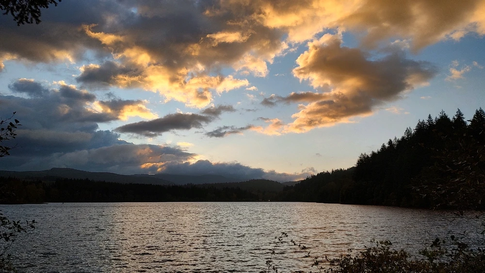 Image uploaded by Nicholas