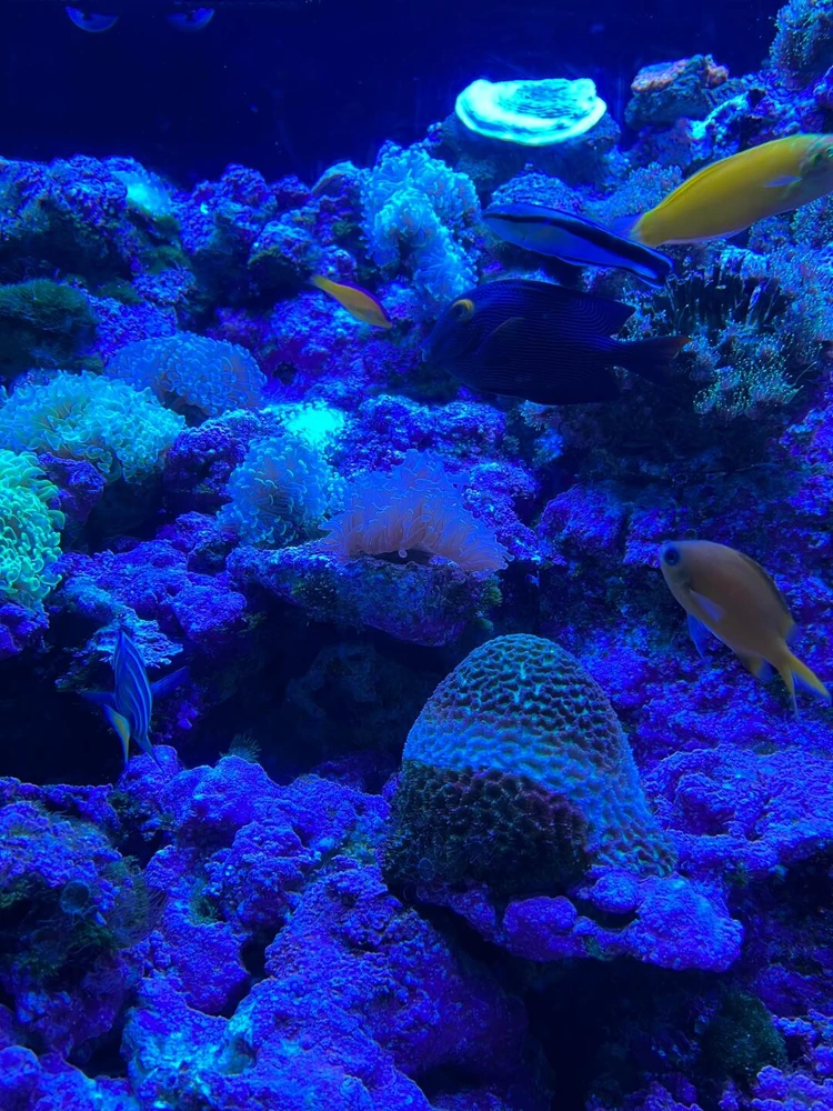 Image uploaded by Lacey