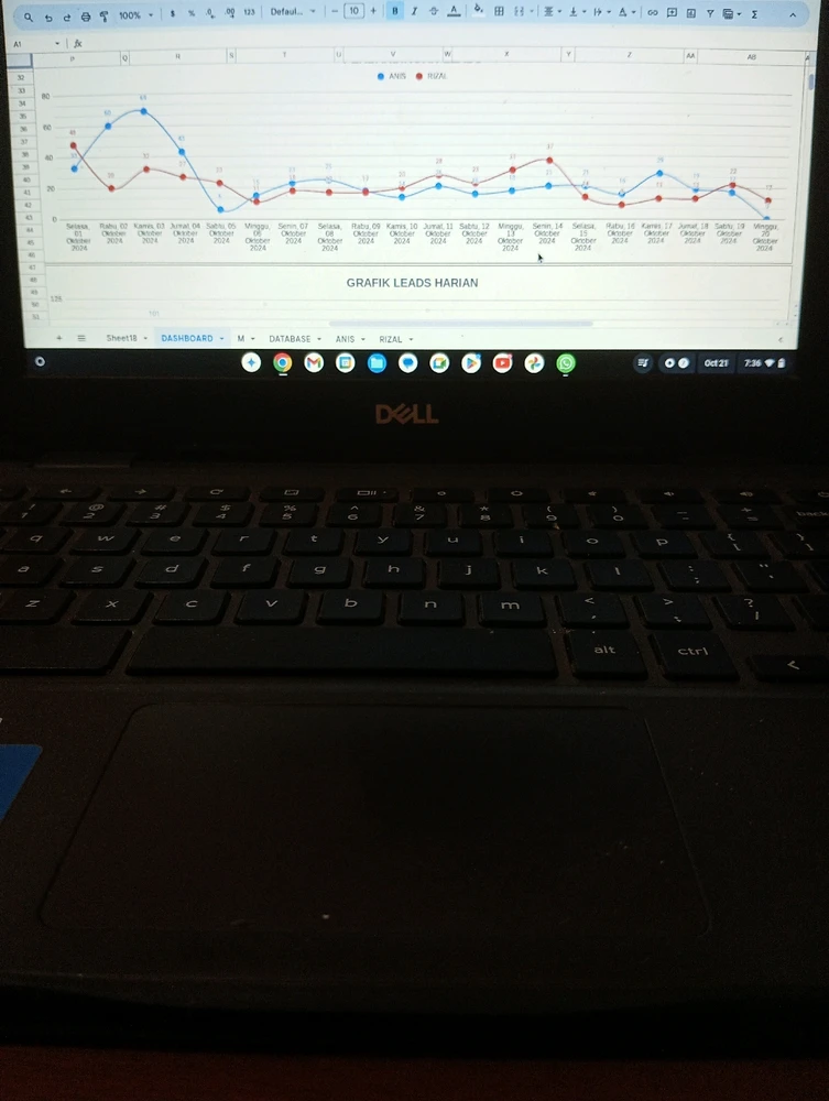 Gambar diunggah oleh Zein