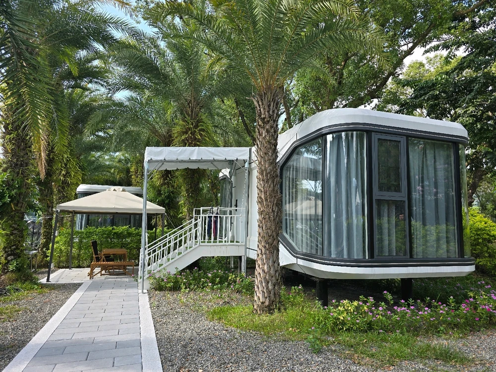 由Jack上传的图片