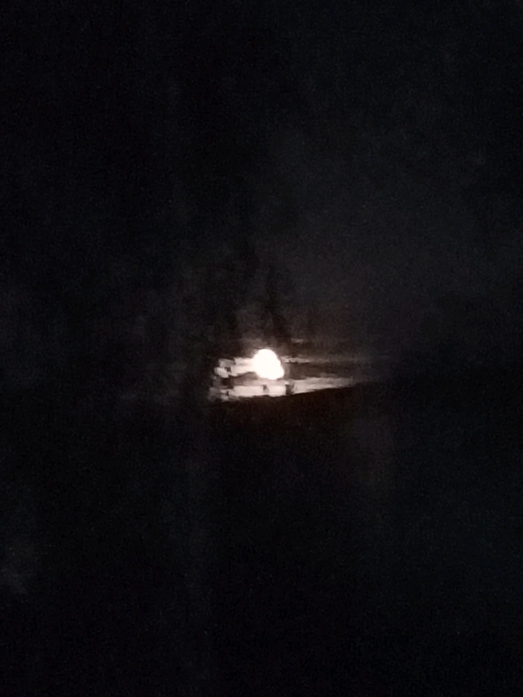 Yin님이 올린 사진