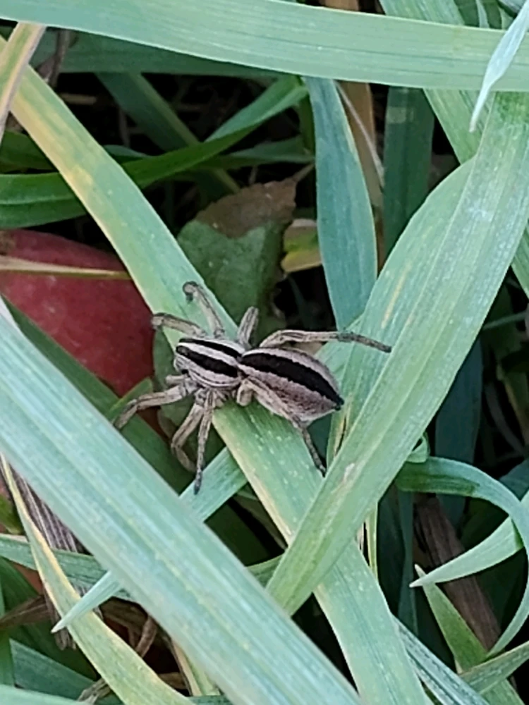 Image uploaded by Cat