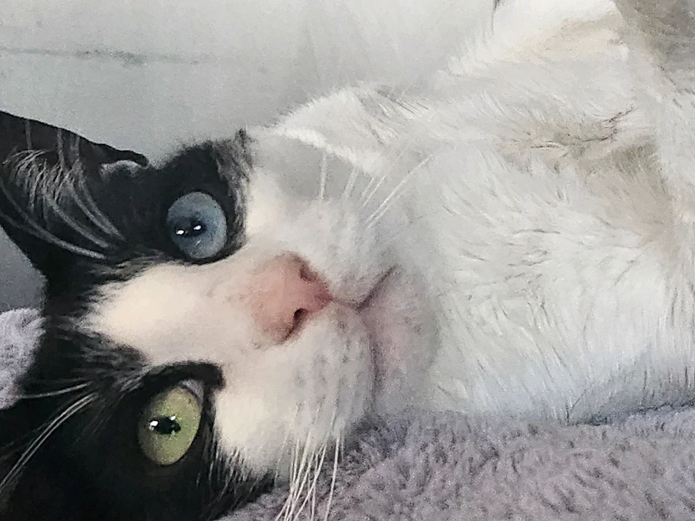 Image uploaded by James