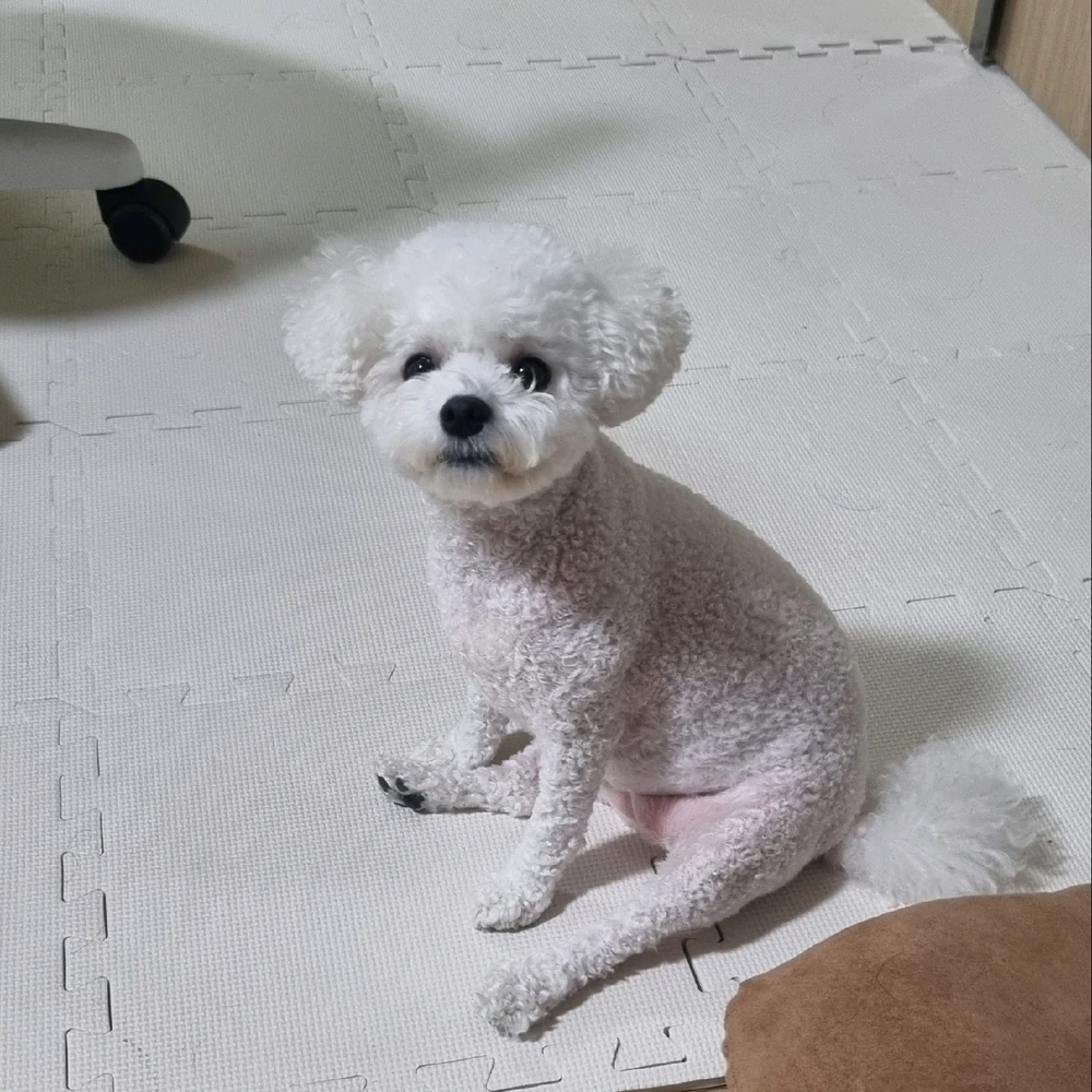 이유진님이 올린 사진