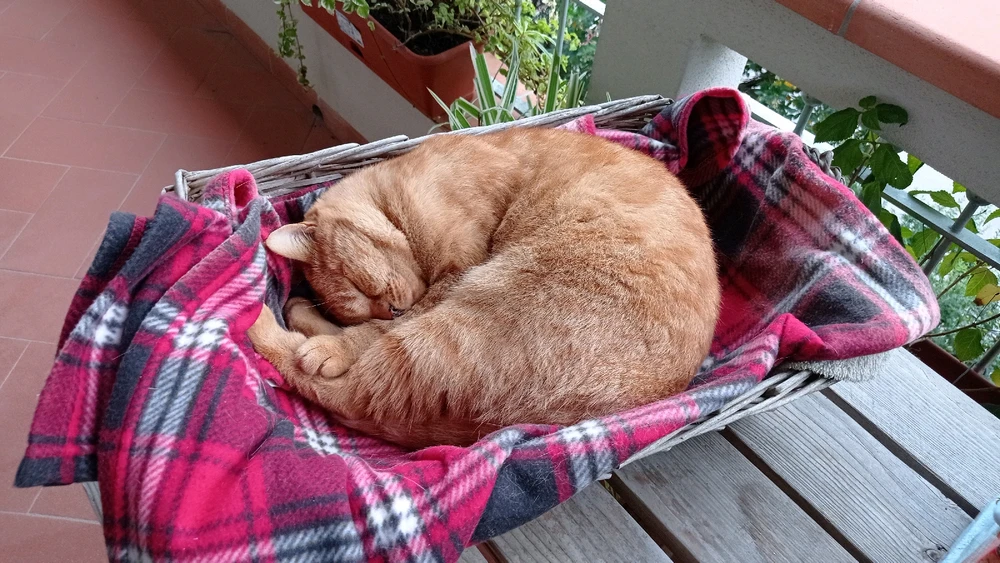 Immagine caricata da M.