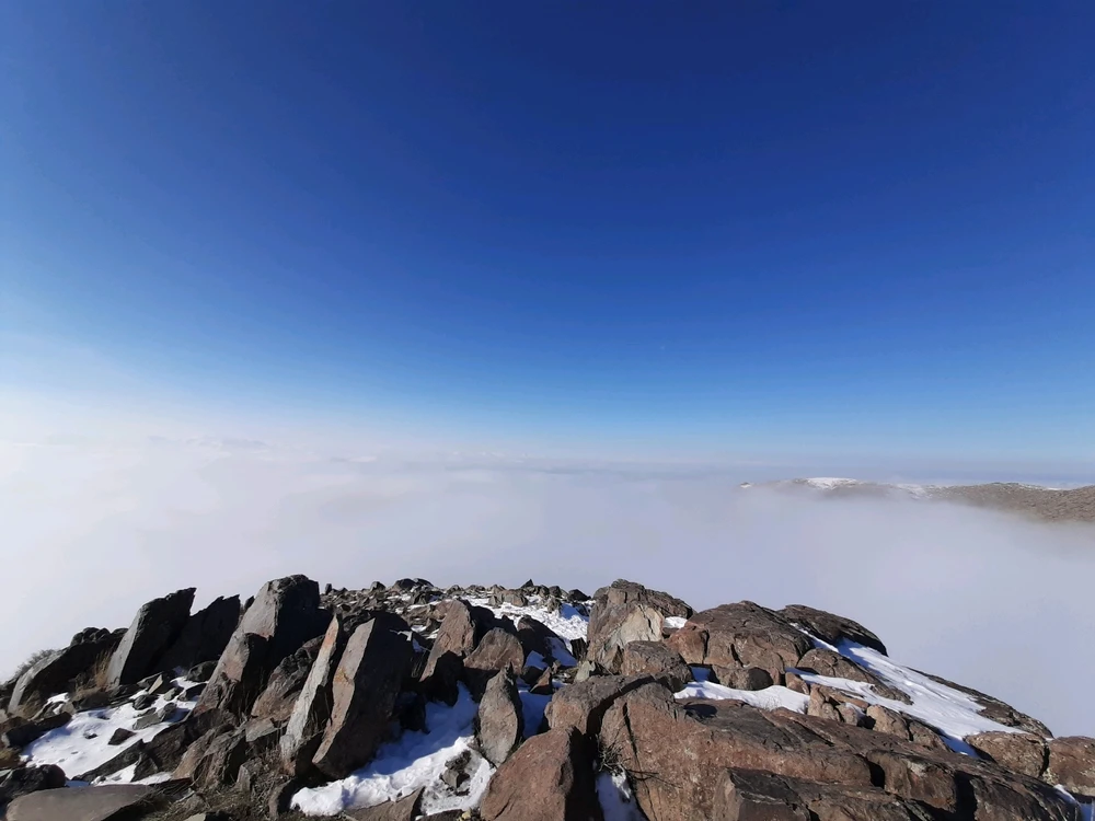 Image uploaded by Shahram