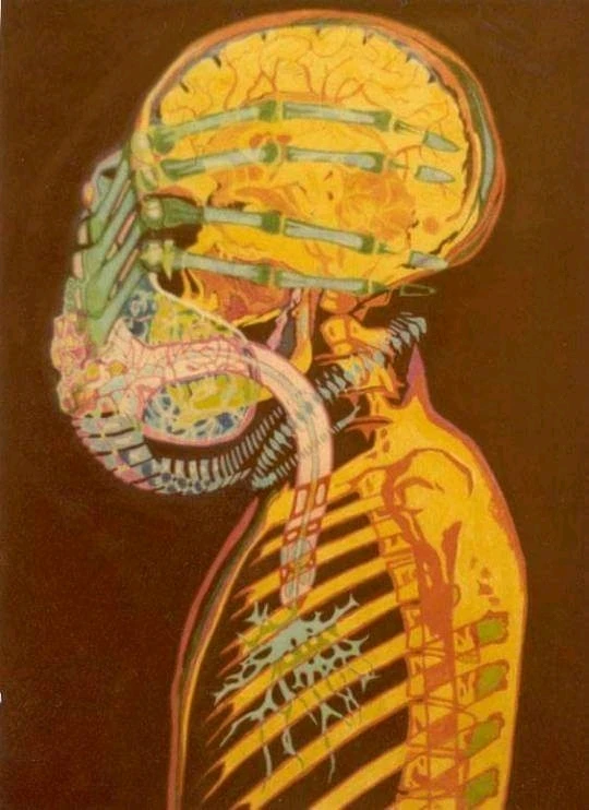 Bild hochgeladen von Doris