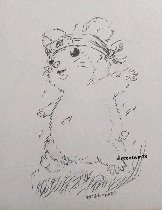 Image uploaded by Vincent