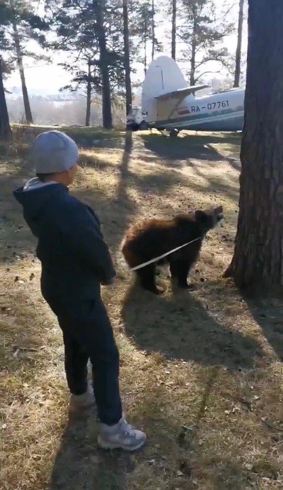 Фото загрузил Софья