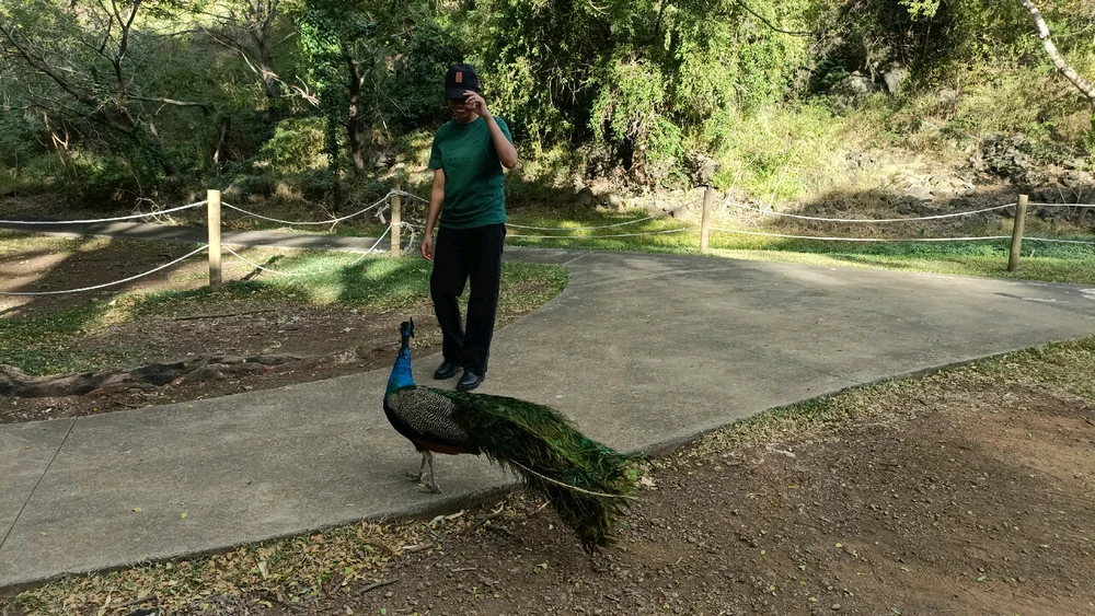 Image uploaded by Amu