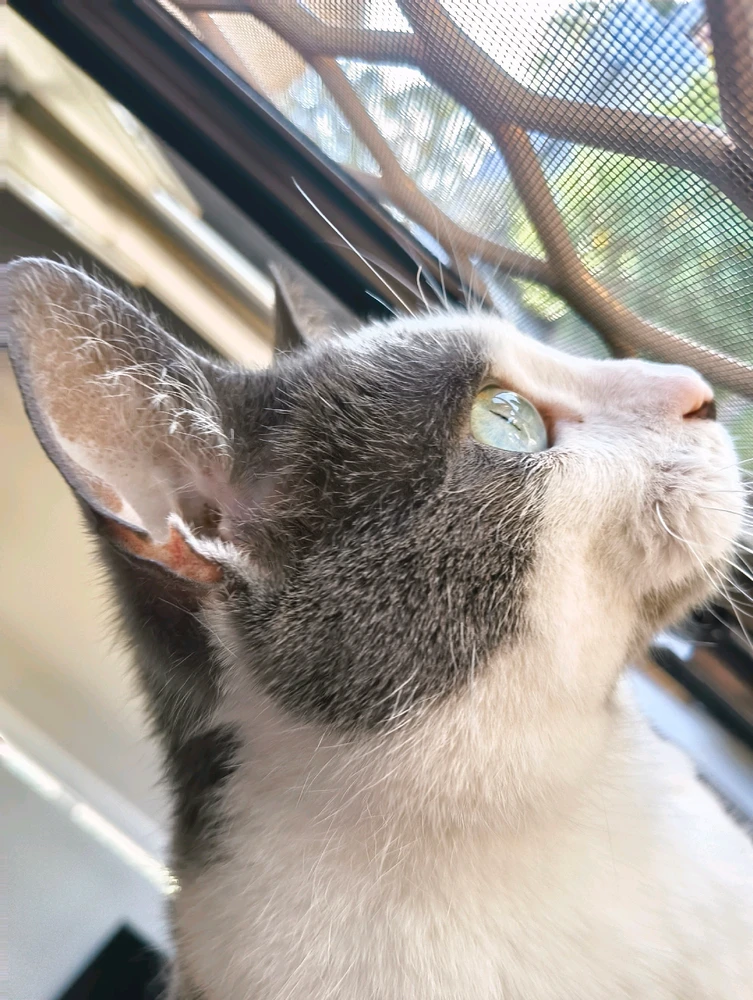 Image uploaded by Harrison