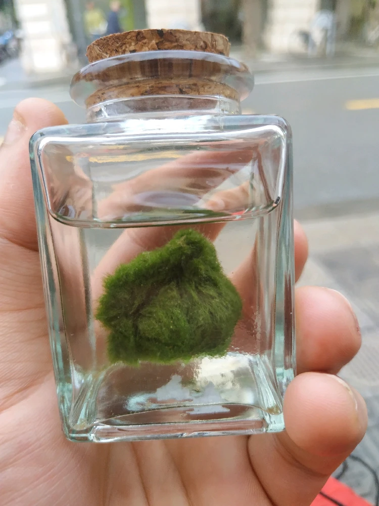 Immagine caricata da Giuseppe