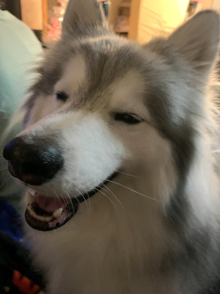 Image uploaded by Emberlyn