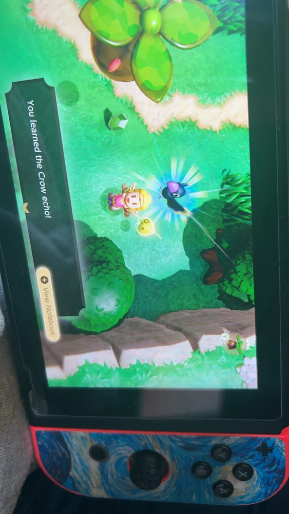 Image uploaded by Matthew