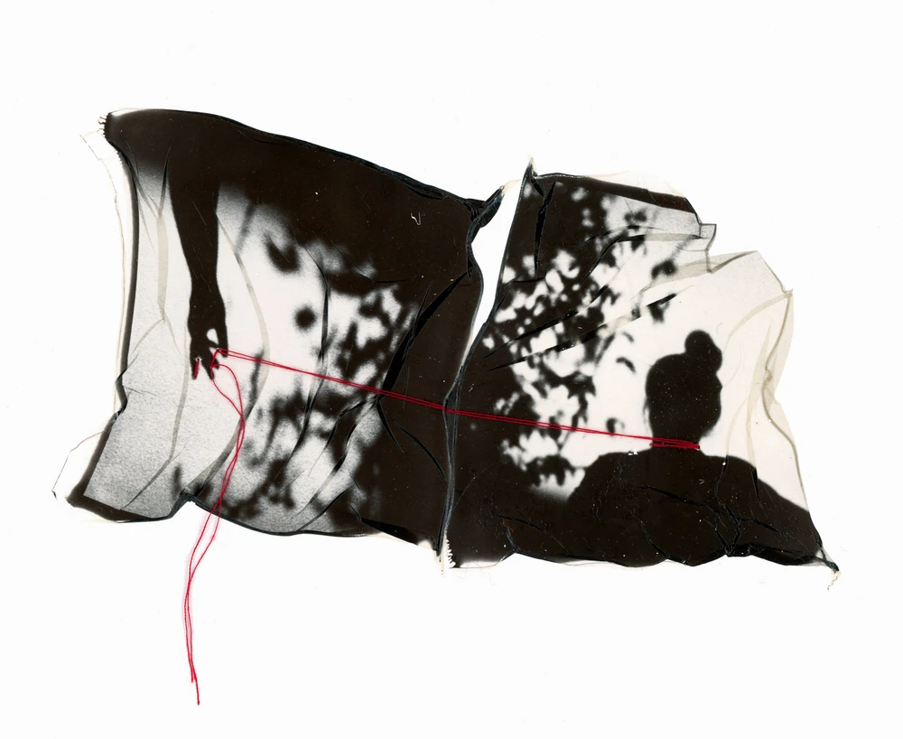 Obrázek nahrál Irónia