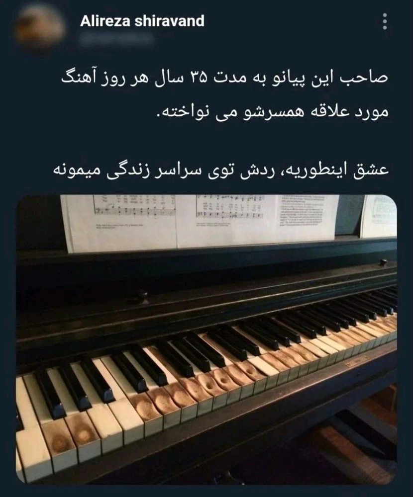 تصویر آپلود شده توسط Carol