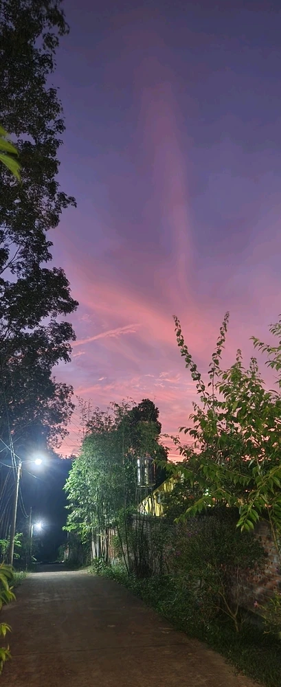 Ảnh do Hannah tải lên