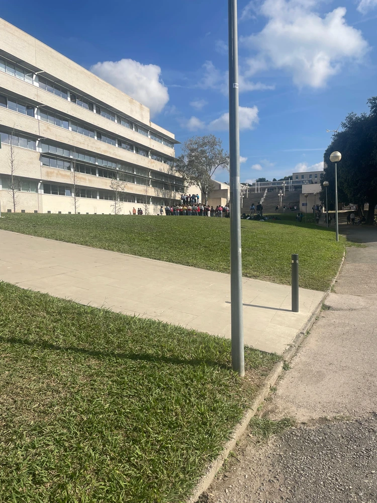 Están haciendo un torre