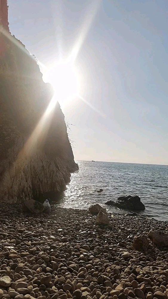 Oğuz tarafından yüklenen görsel