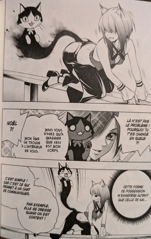 A lire dans le sens de lecture occidentale