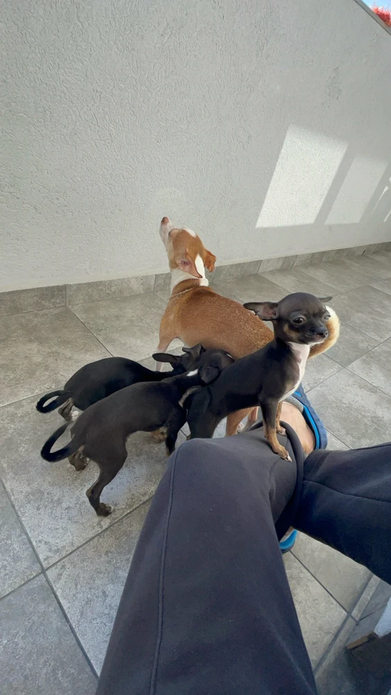 Image uploaded by NainomiS