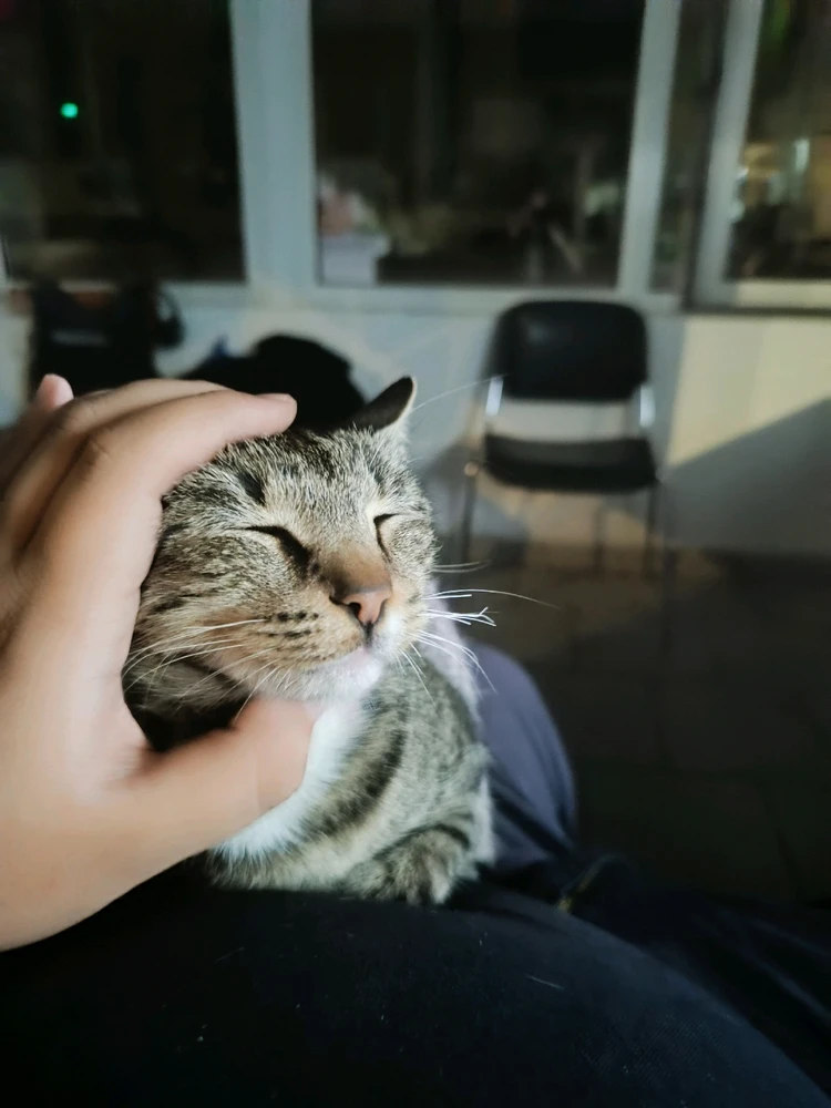 Εικόνα από AkisN