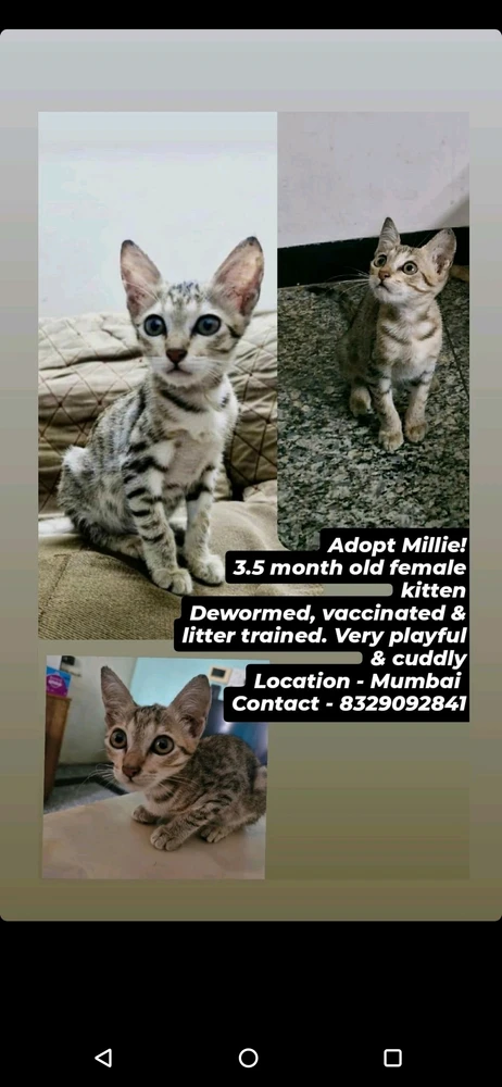 Gambar diunggah dening Sagar Lingam