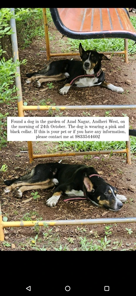 Image uploaded by Sagar Lingam