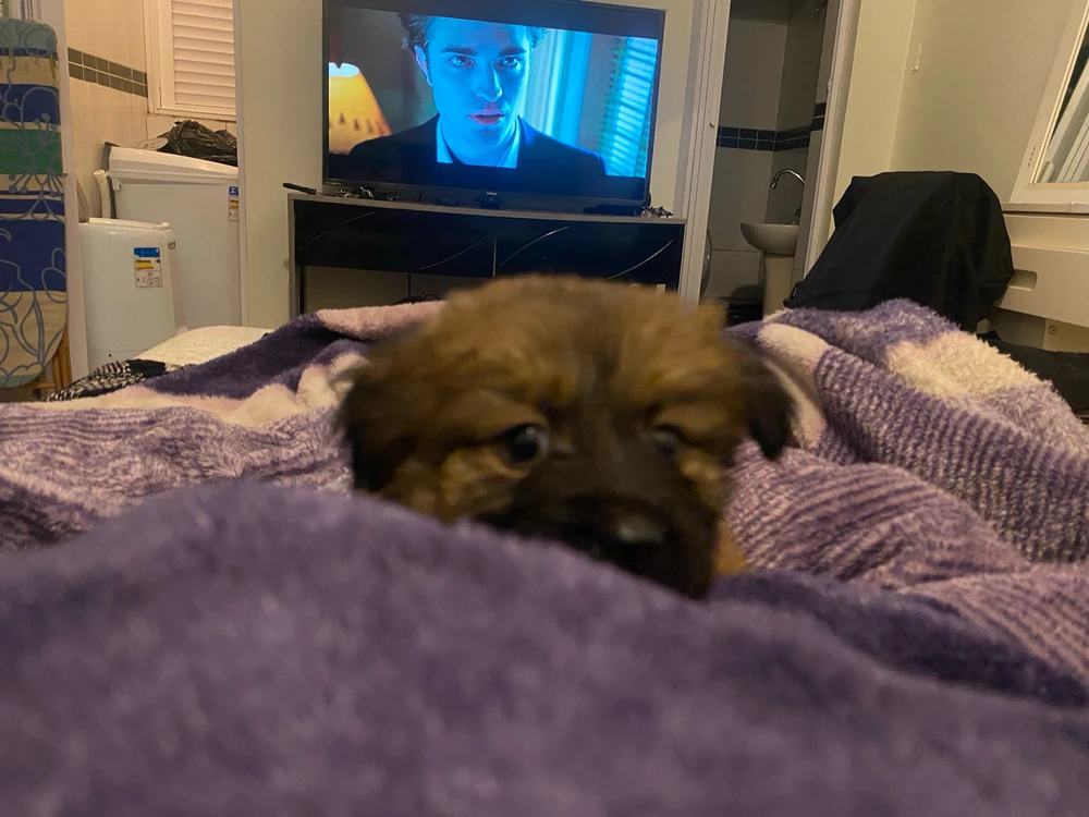 Imagem enviada por Maria Antonia