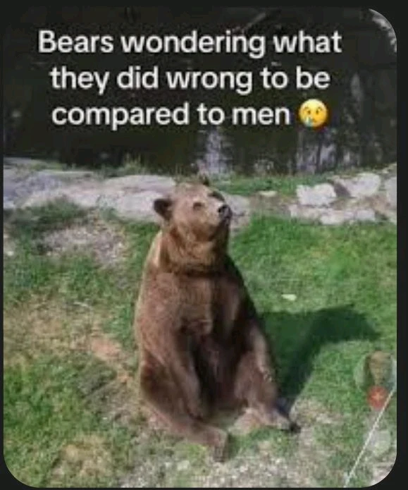 Laura上傳的圖片