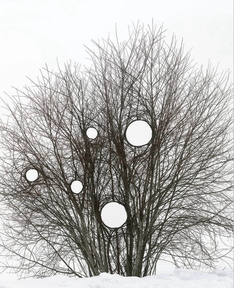 Obrázek nahrál Soni