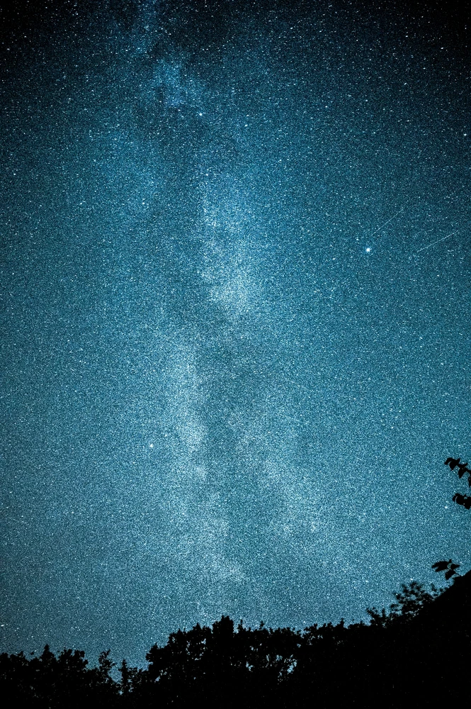 Nuotrauką įkėlė Tomas