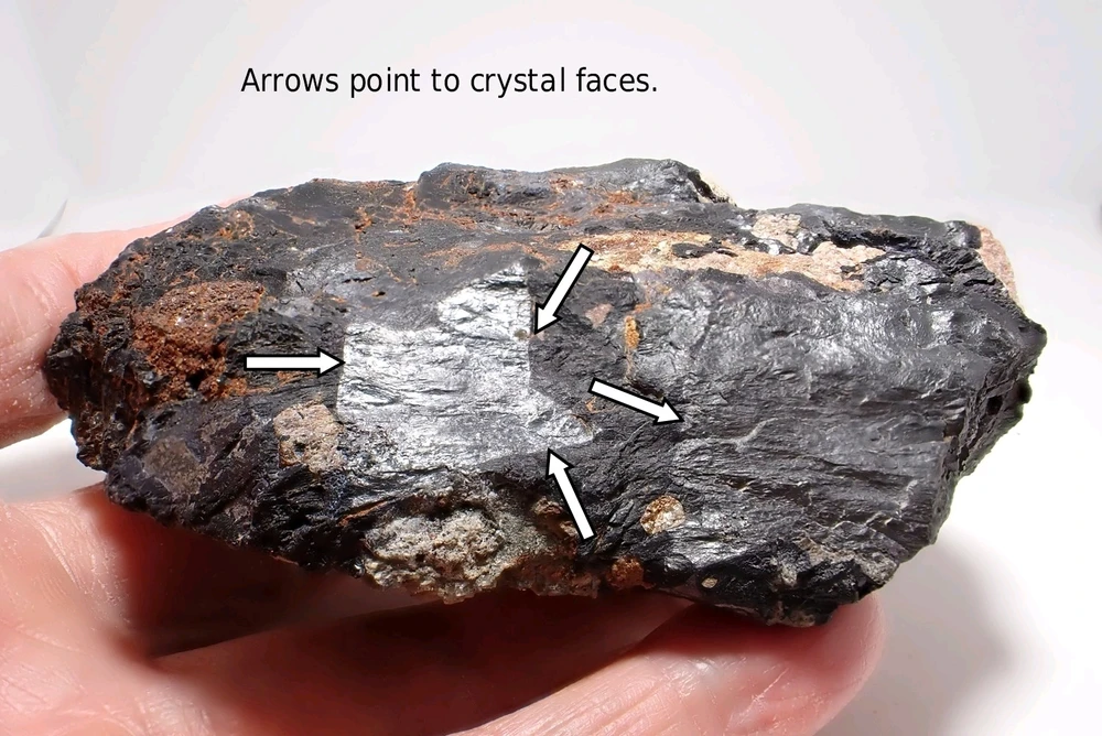 Image uploaded by Katlyne