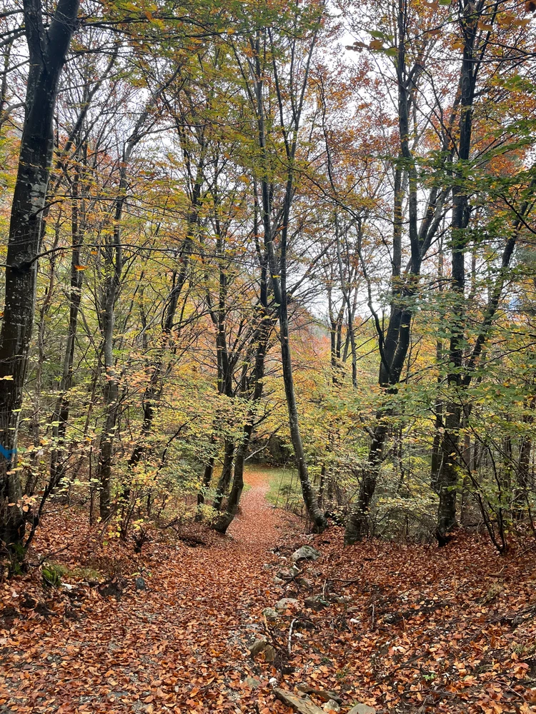 Immagine caricata da Gian